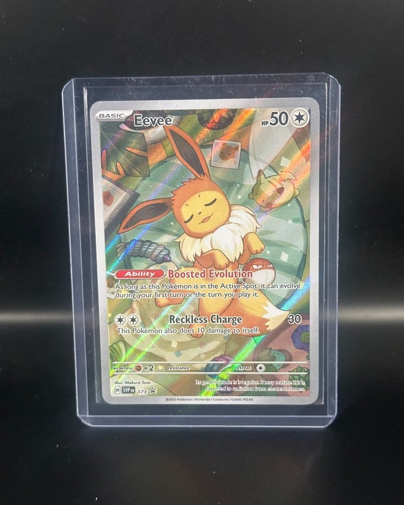 Promo Black Star de Scarlet & Violet SVP 173, holo (2025)